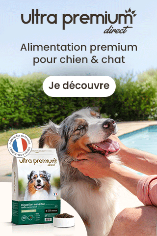 banniere nourriture pour chien ultra premium